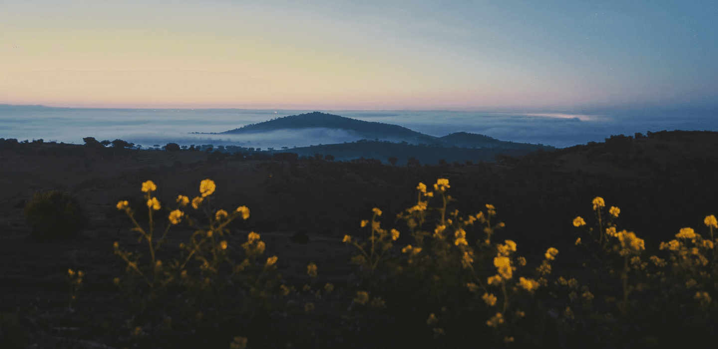Slow Travel: conheça o lado mais sereno de Portugal
